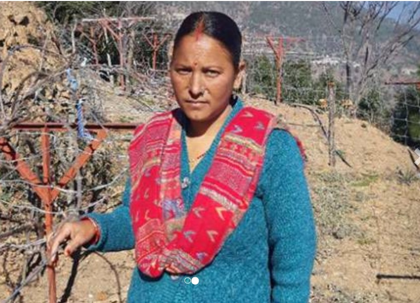 Seeta Devi Kiwi Queen Uttarakhand